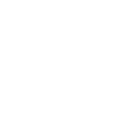 3x3 basketball icon