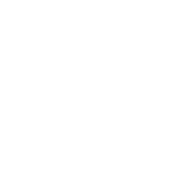 American football icon